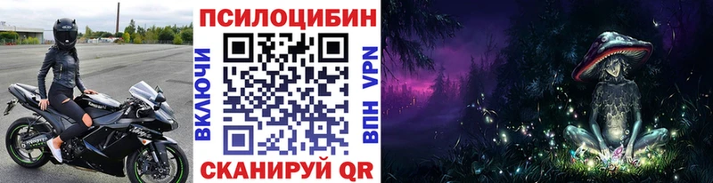 Галлюциногенные грибы мицелий  Губкинский 