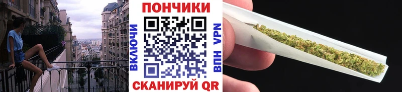 Конопля планчик  Губкинский 